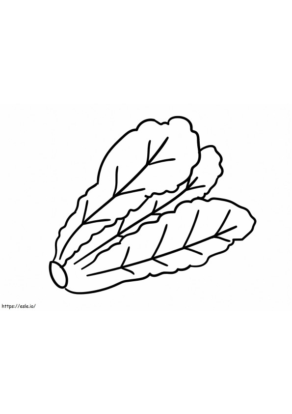 Basic Cabbage coloring page