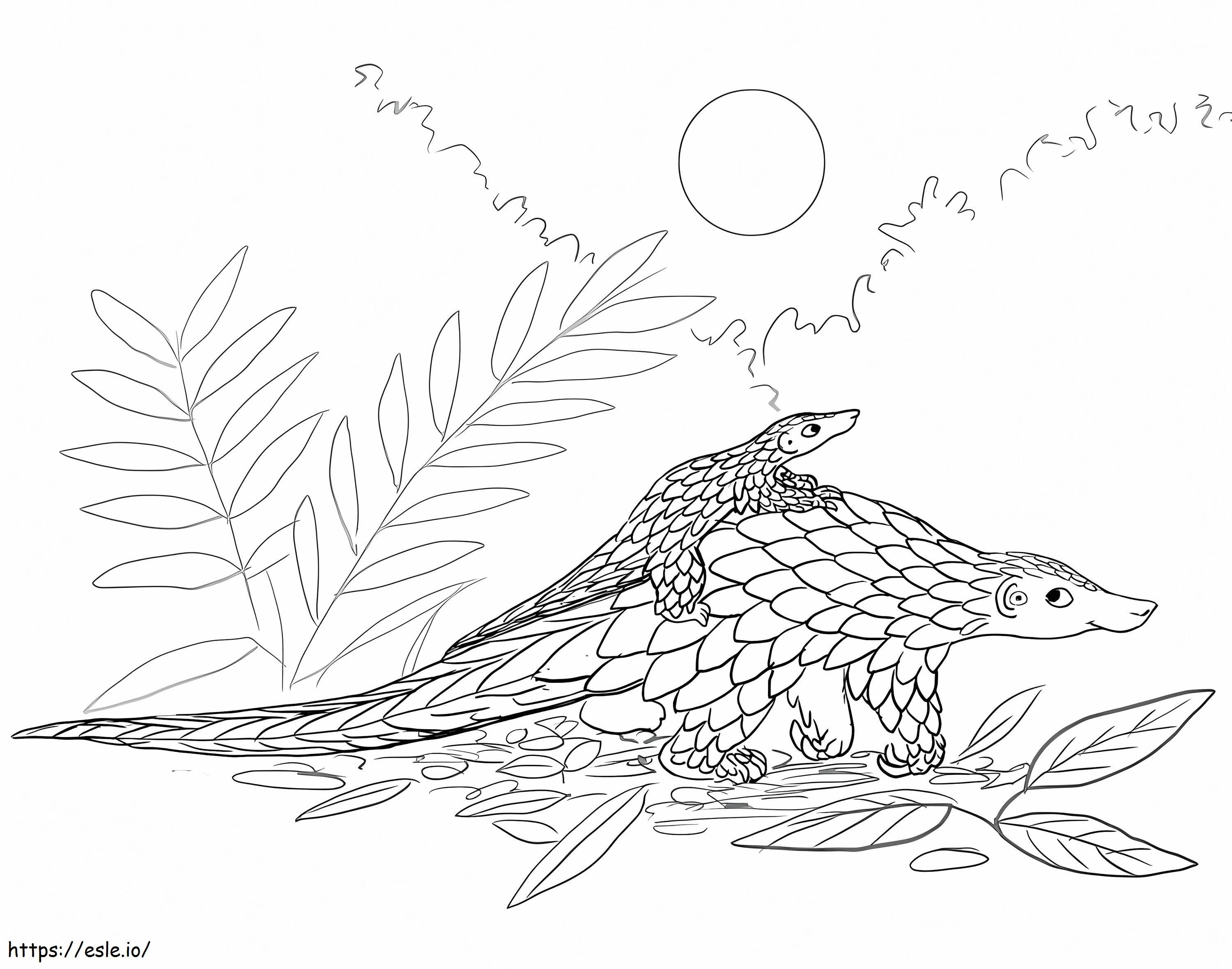 Pangolin And Baby coloring page