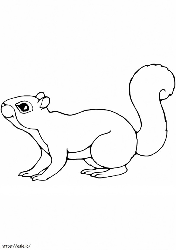 Coloriage Joli écureuil à imprimer dessin