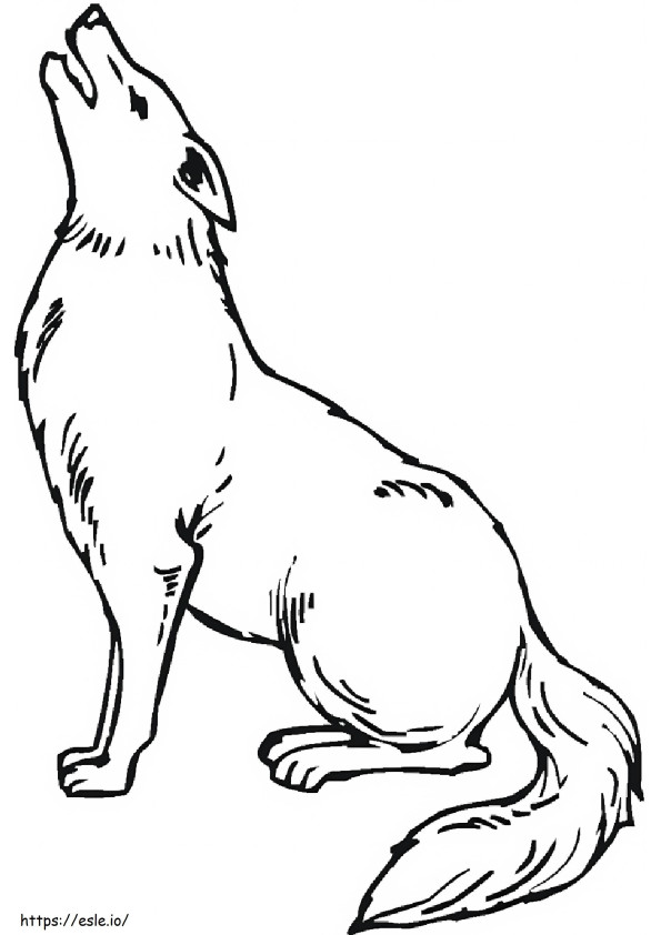 Coyote 6 coloring page