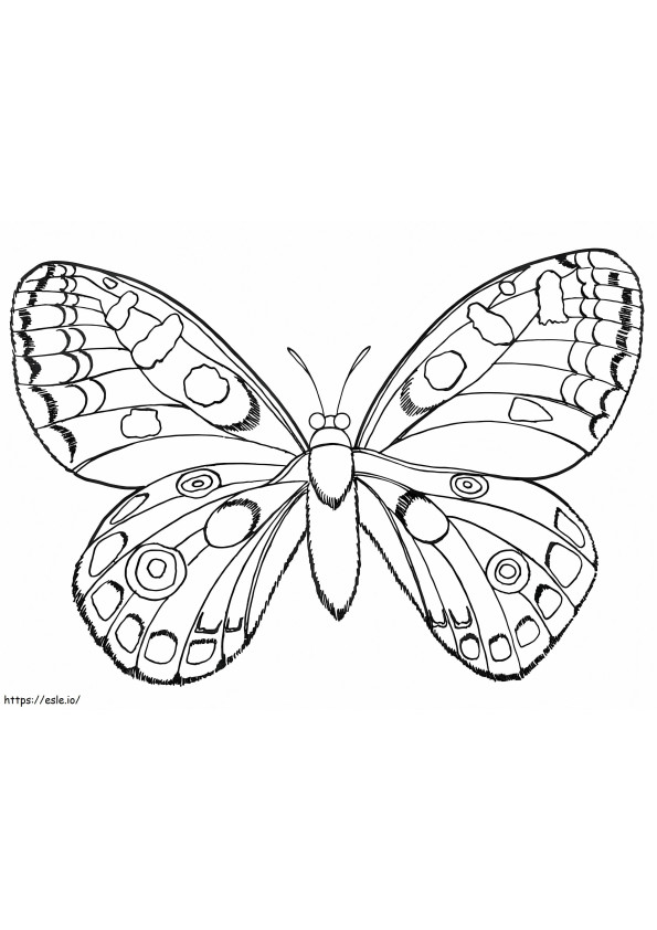 Gratis vlinder kleurplaat kleurplaat