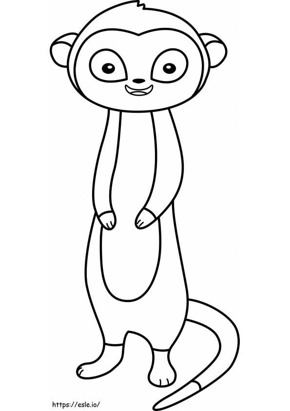 Coloriage Grand suricate à imprimer dessin