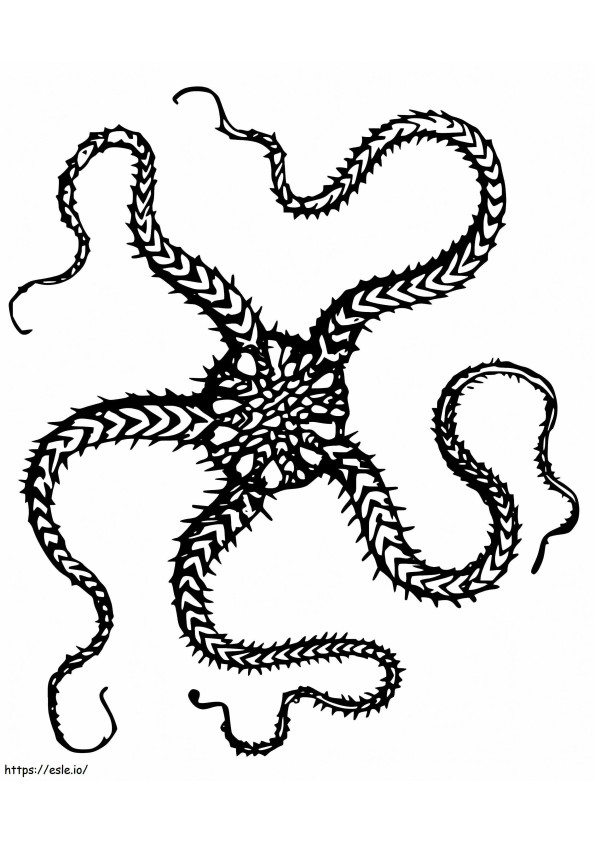 Free Brittle Star