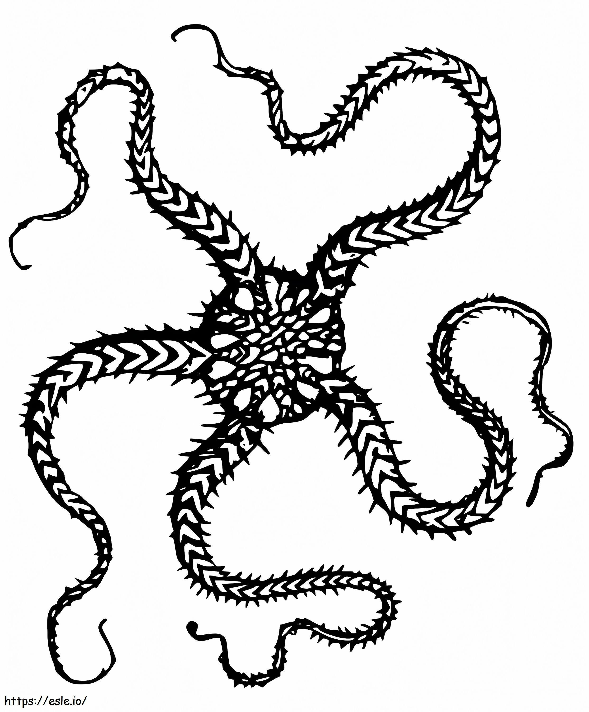 Free Brittle Star coloring page