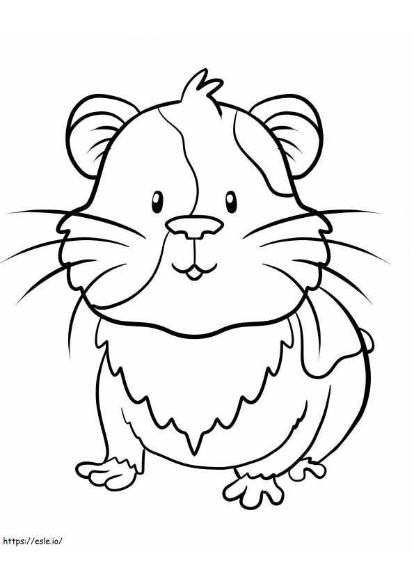 Guinea Pig 3 coloring page