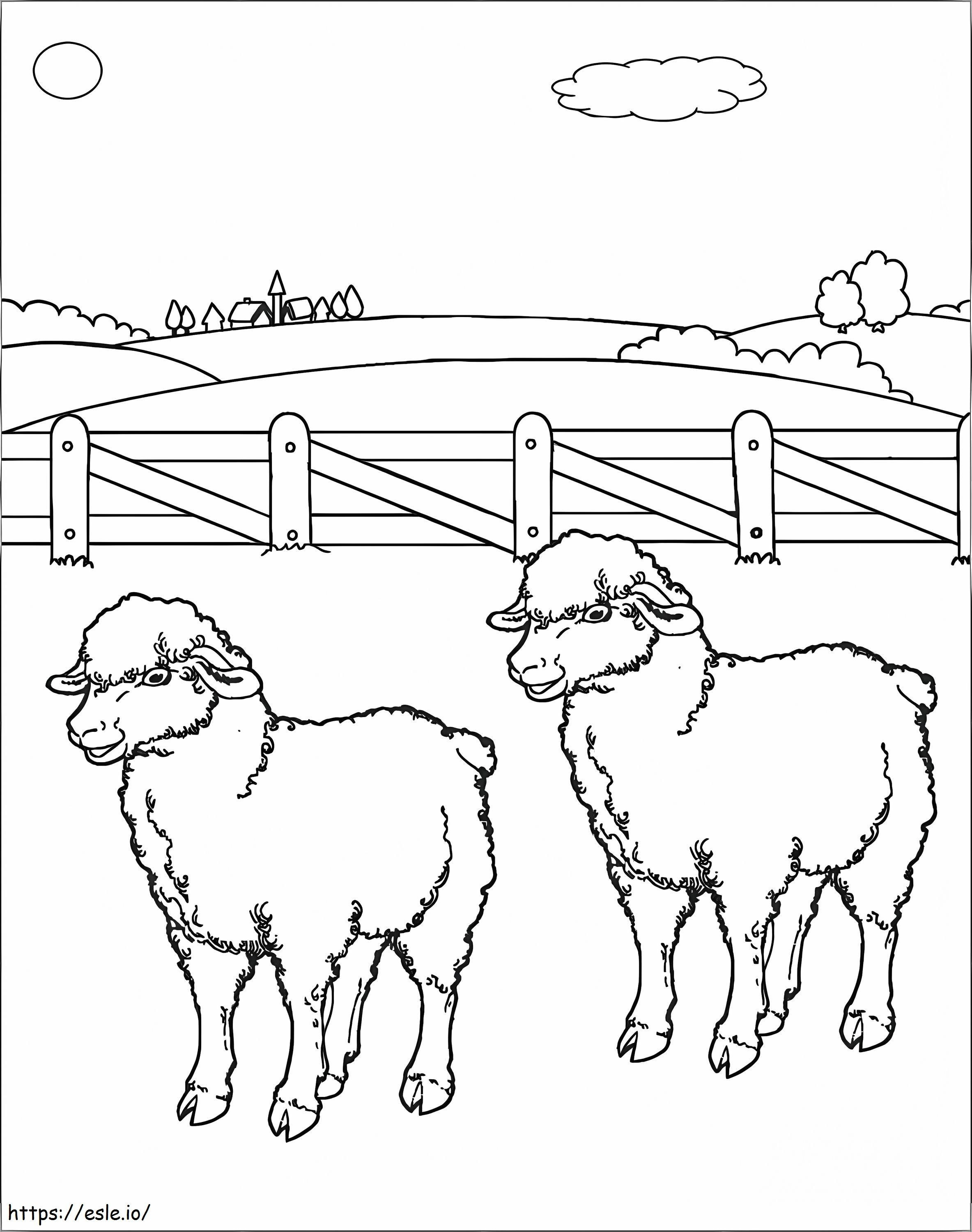 Dos ovejas en la granja para colorear