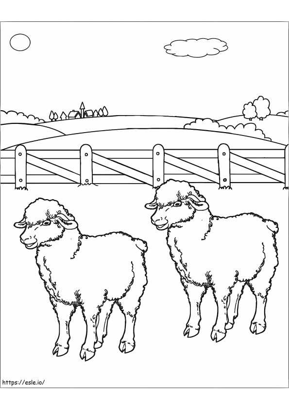 Coloriage Deux moutons à la ferme à imprimer dessin