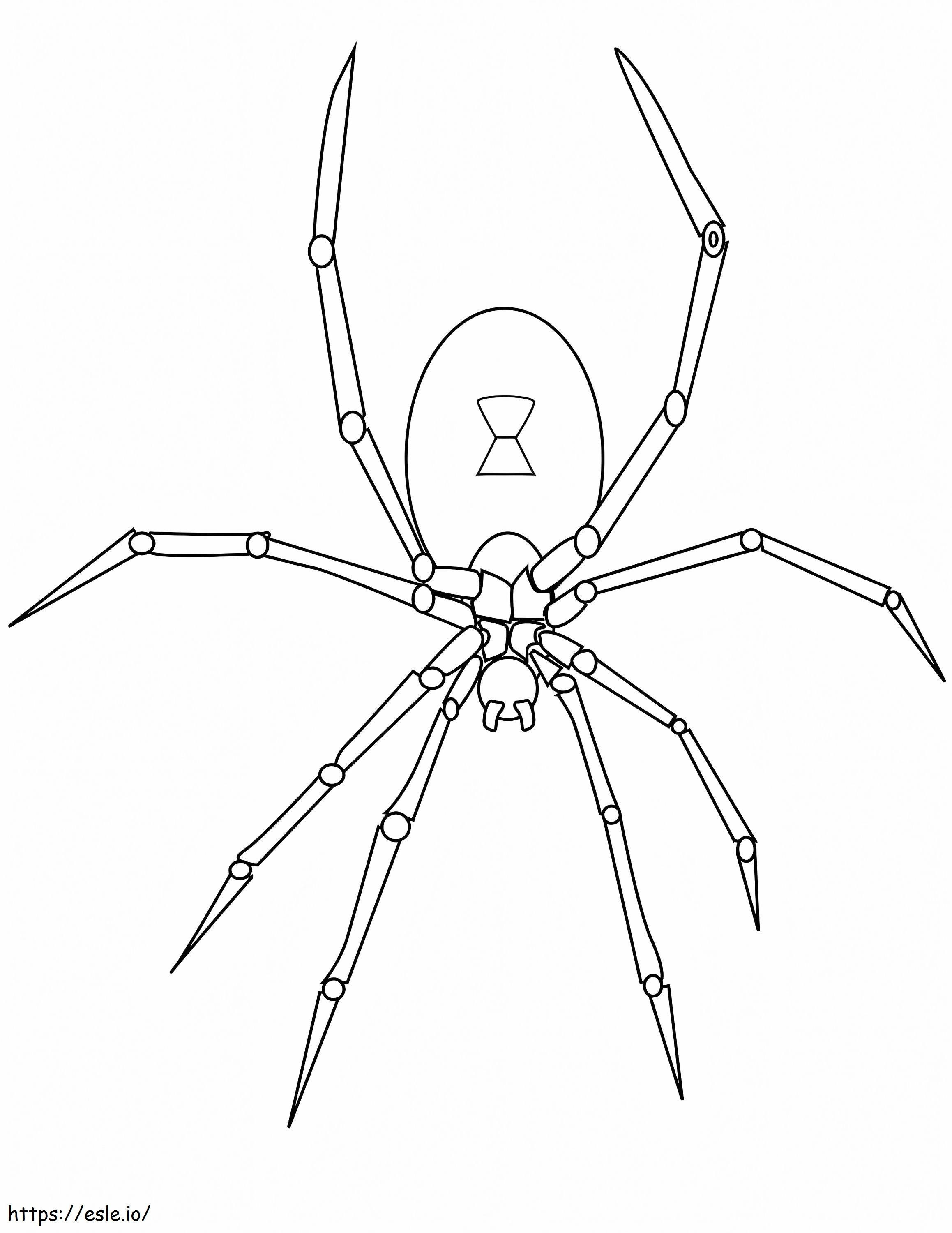Normaali hämähäkki värityskuva