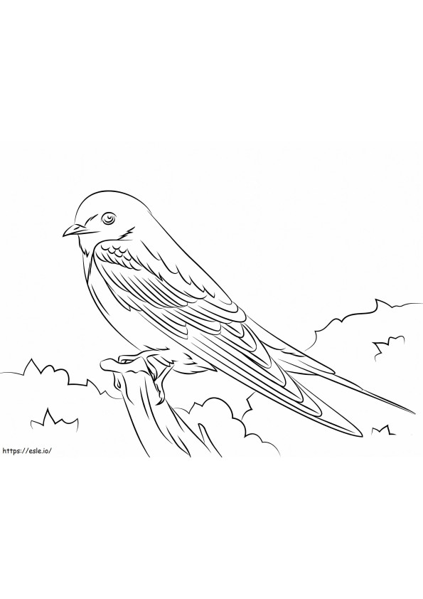 Printable Barn Swallow coloring page