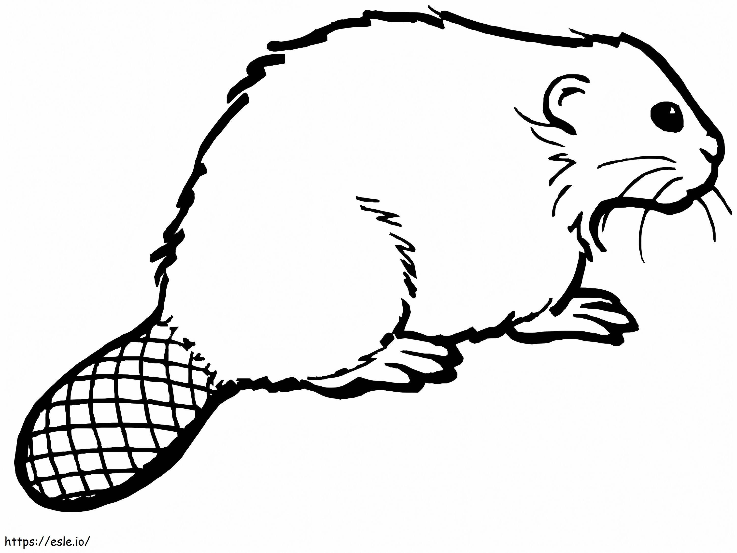 Sitting Beaver coloring page