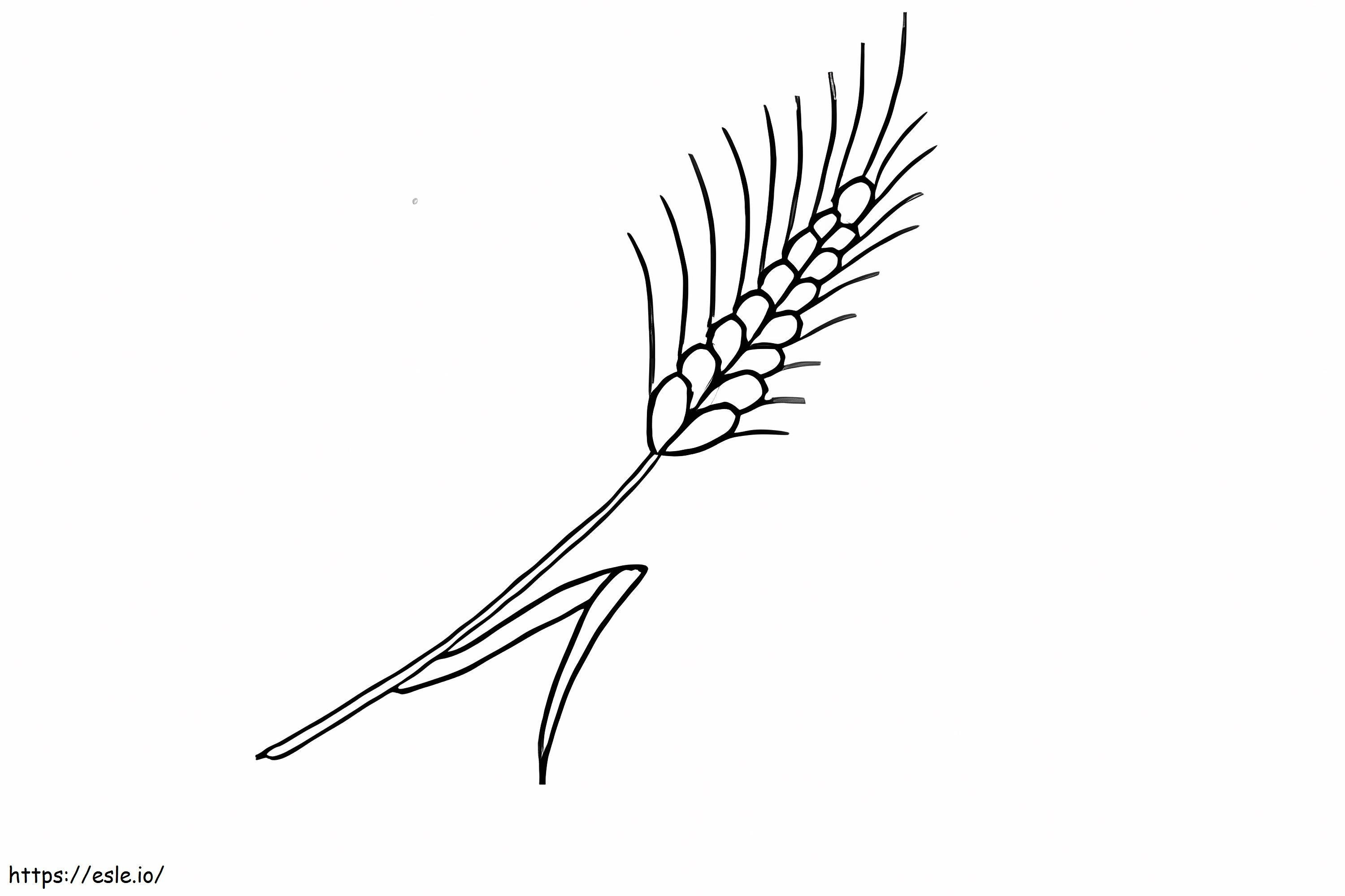 Pleasant Wheat coloring page
