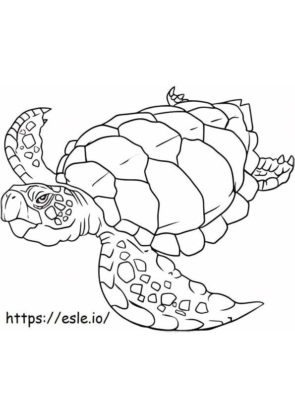 Tartaruga nadadora 2 para colorir
