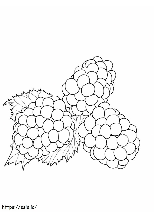 Three Basic Mulberries coloring page