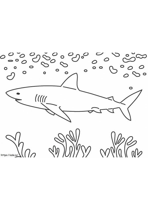 Shark With Corals coloring page