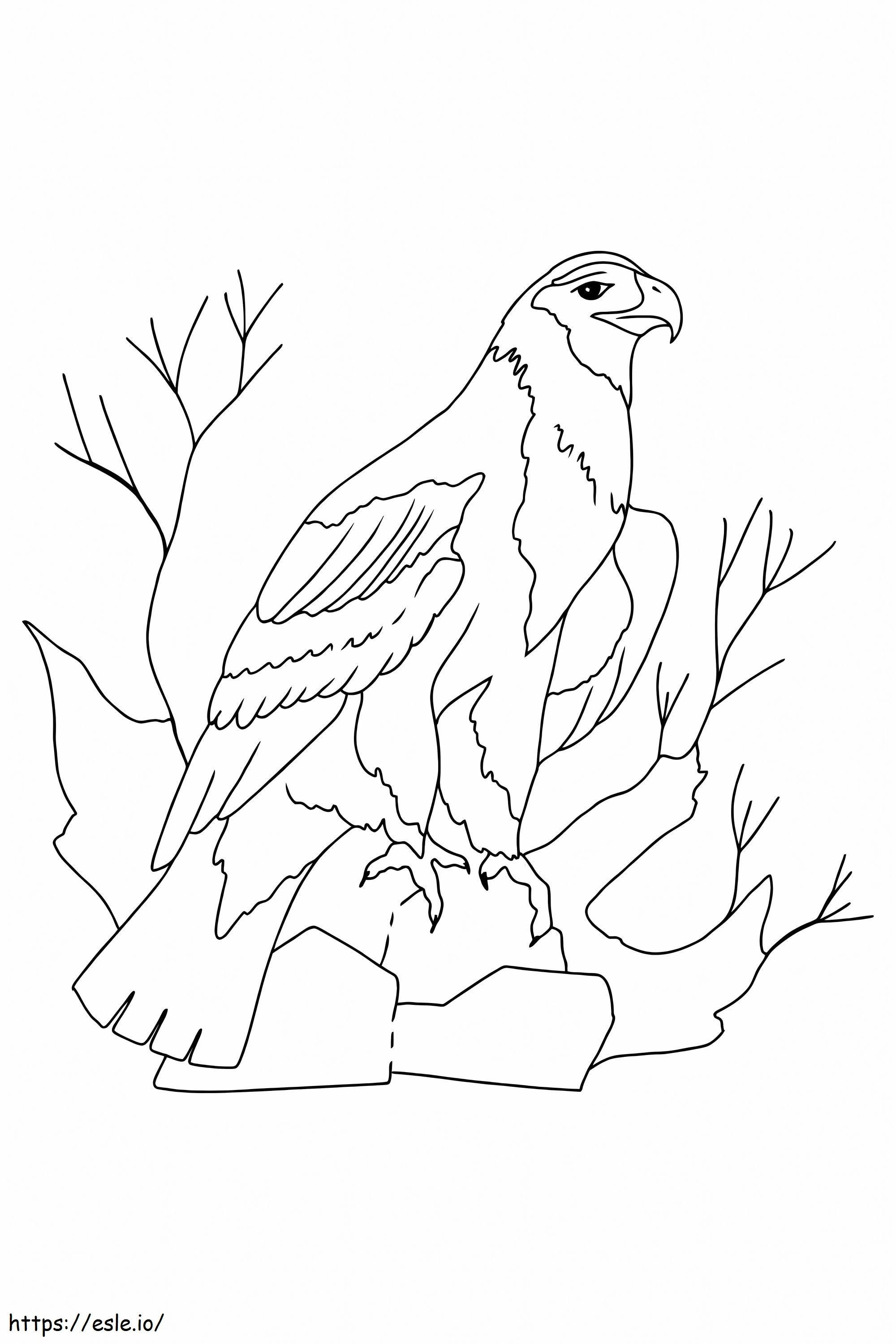 Adorable Eagle coloring page