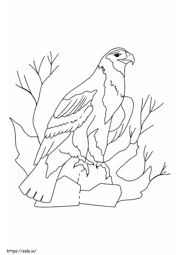 Adorable Eagle coloring page
