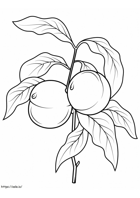 Pfirsiche auf einem Zweig ausmalbilder