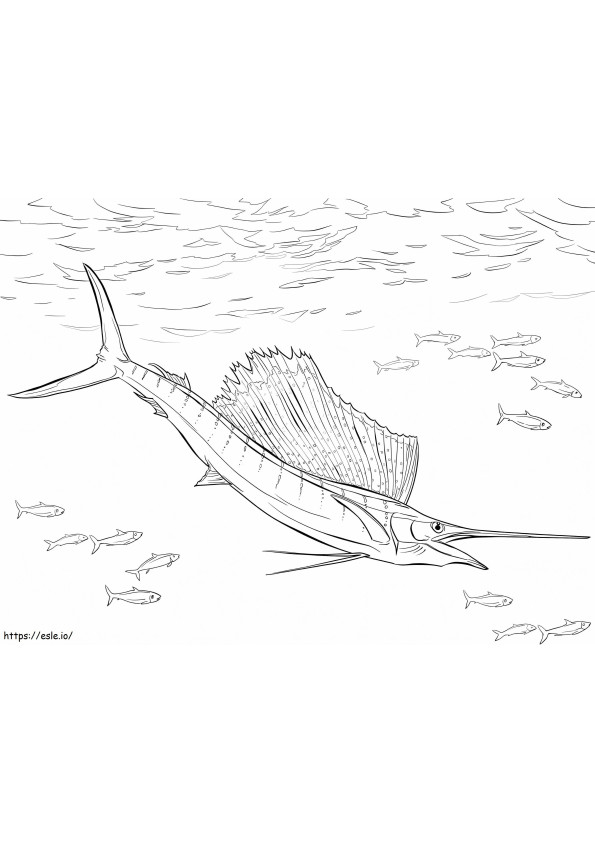 Atlanti vitorláshal kifestő