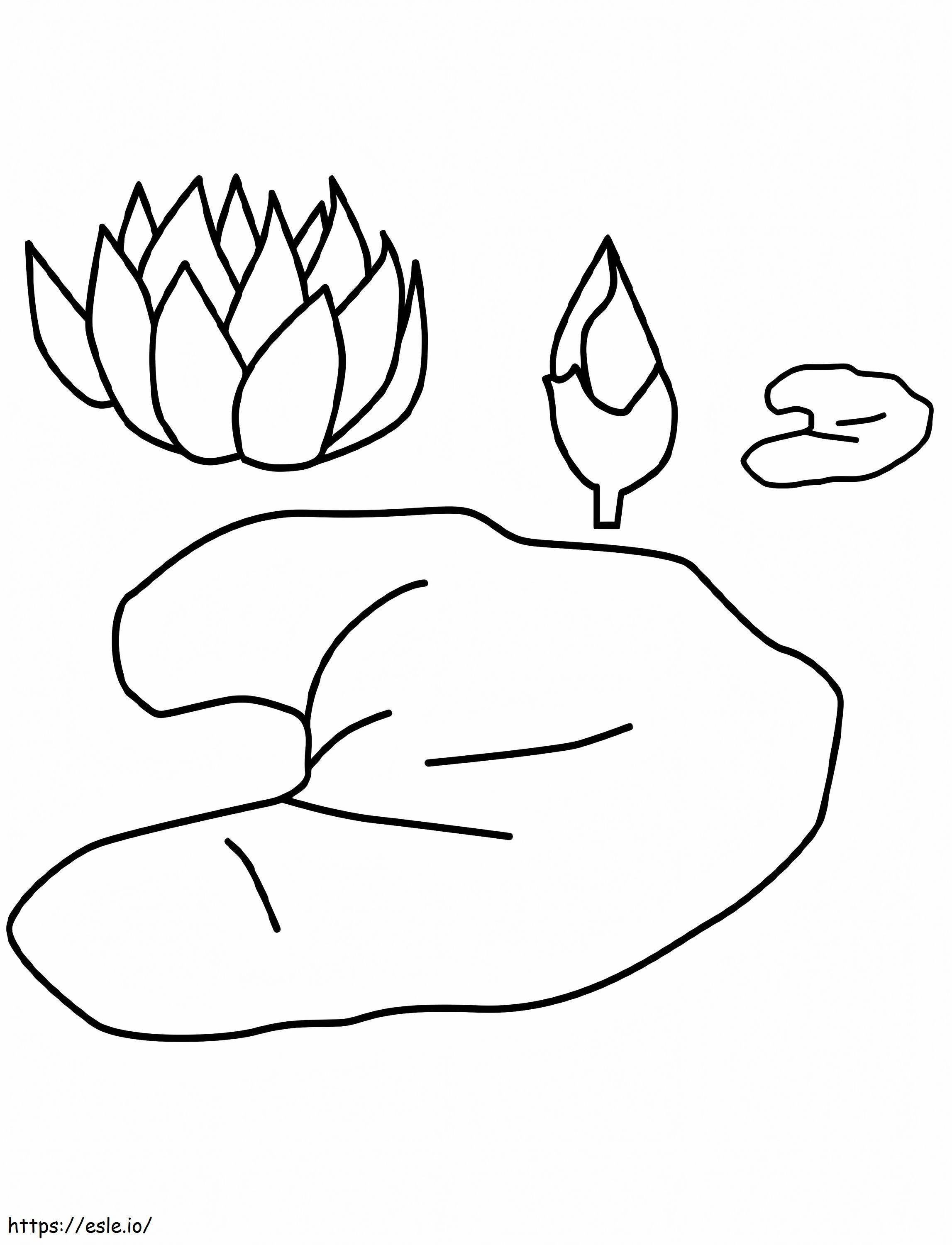 Water Lily Flower 5 coloring page