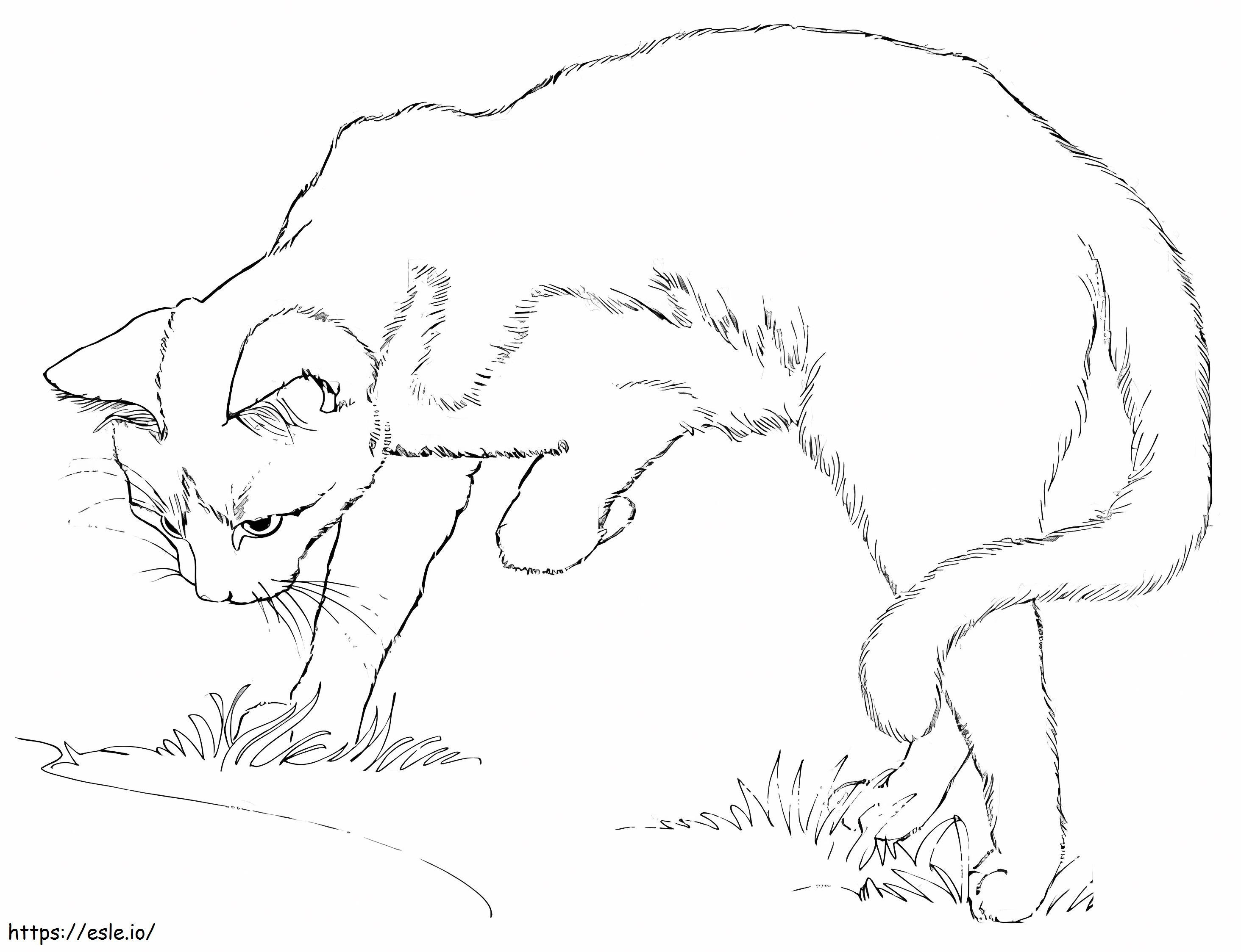 Chat Normal coloring page