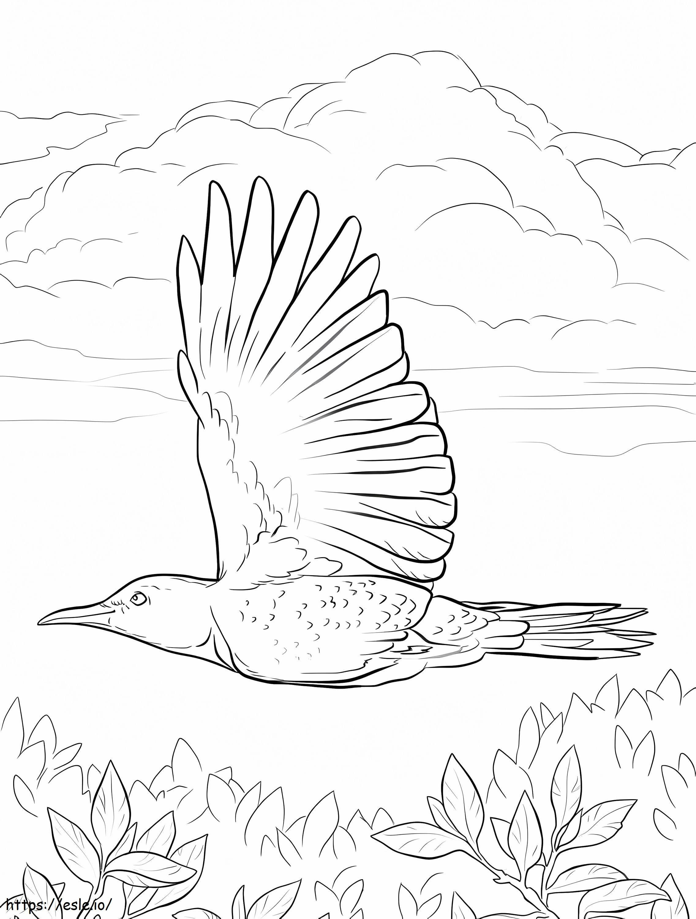 Flying Woodpecker coloring page