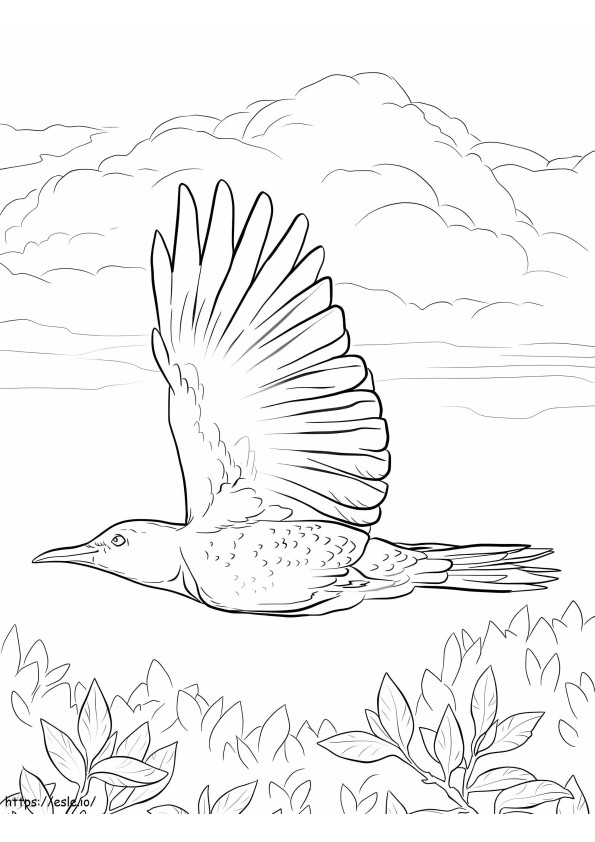 Flying Woodpecker coloring page