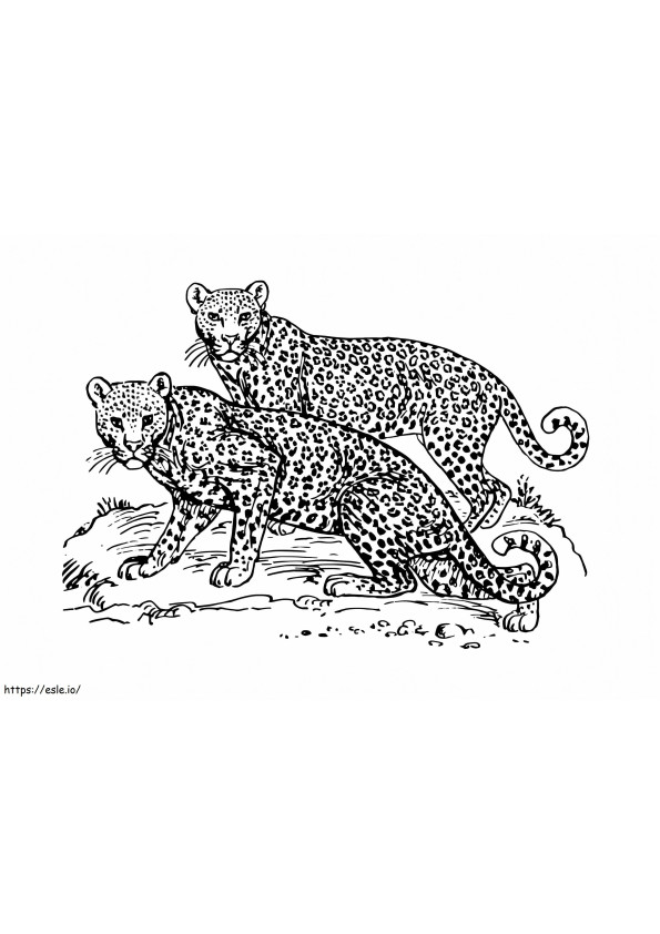 Leopards coloring page