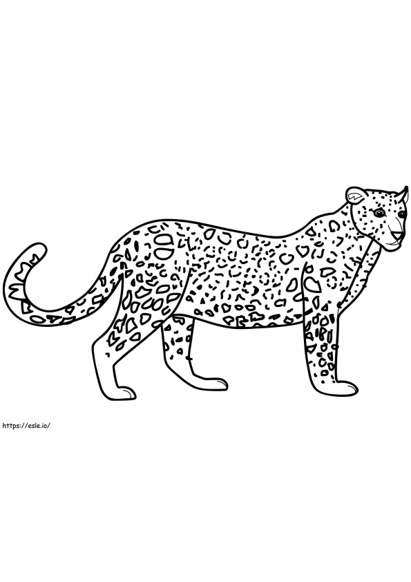 Leopárd álló kifestő