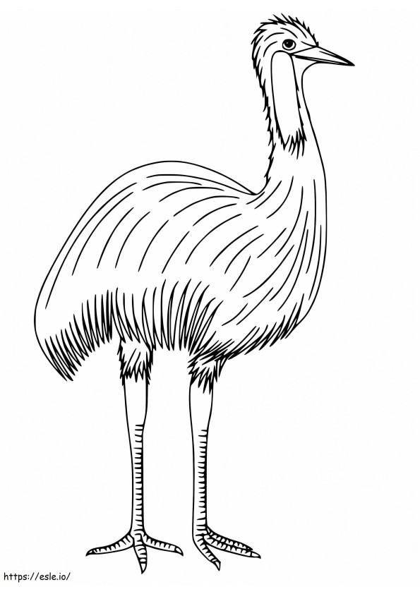 Emu 4 coloring page