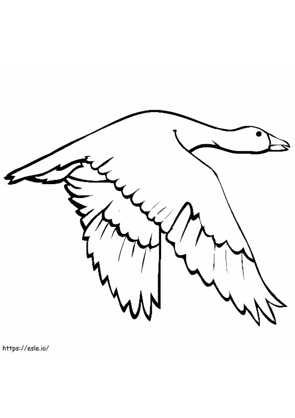 1531878589 Snow Goose Flying A4 coloring page