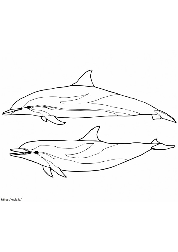 Twee blauwe en witte dolfijnen kleurplaat