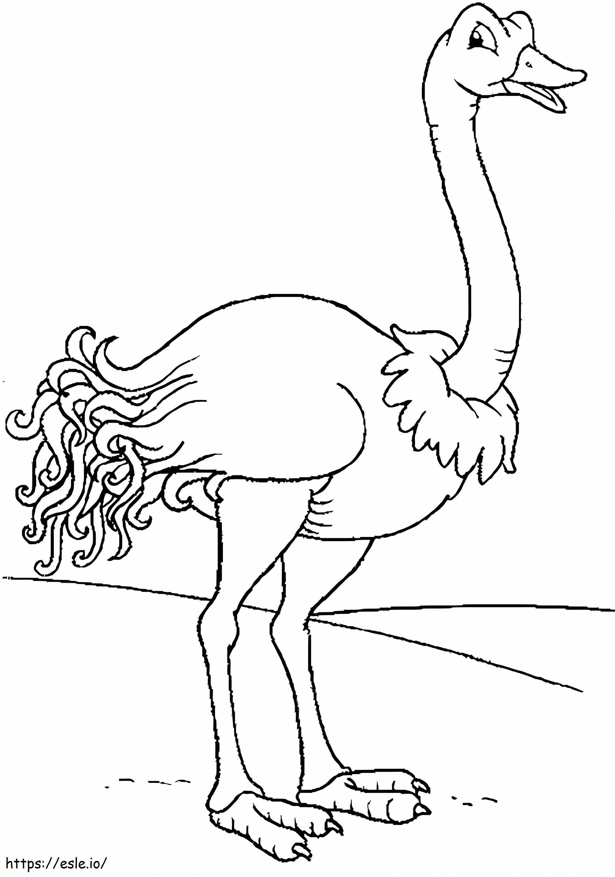 Ostrich 7 coloring page