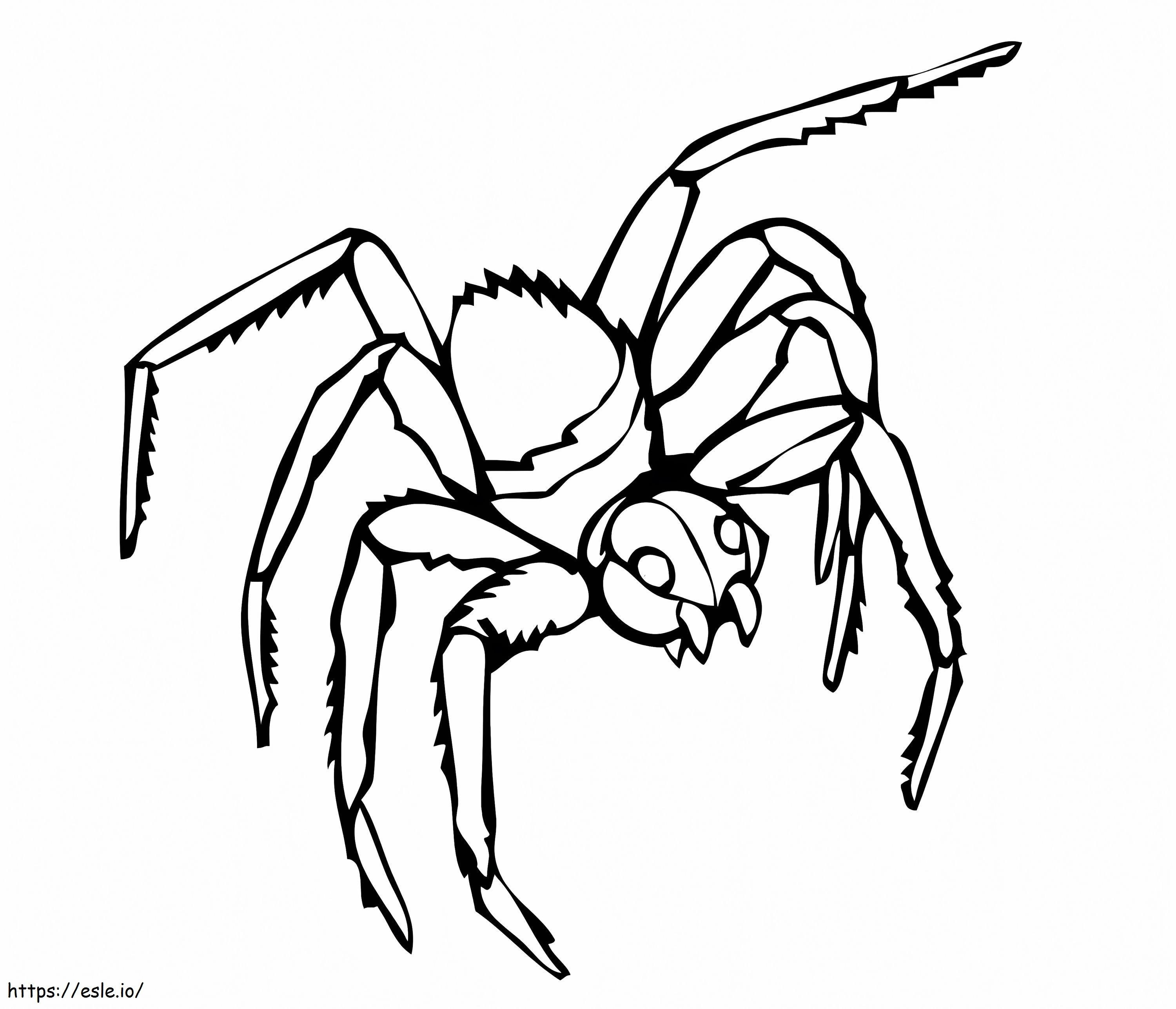 Musta leski hämähäkki värityskuva