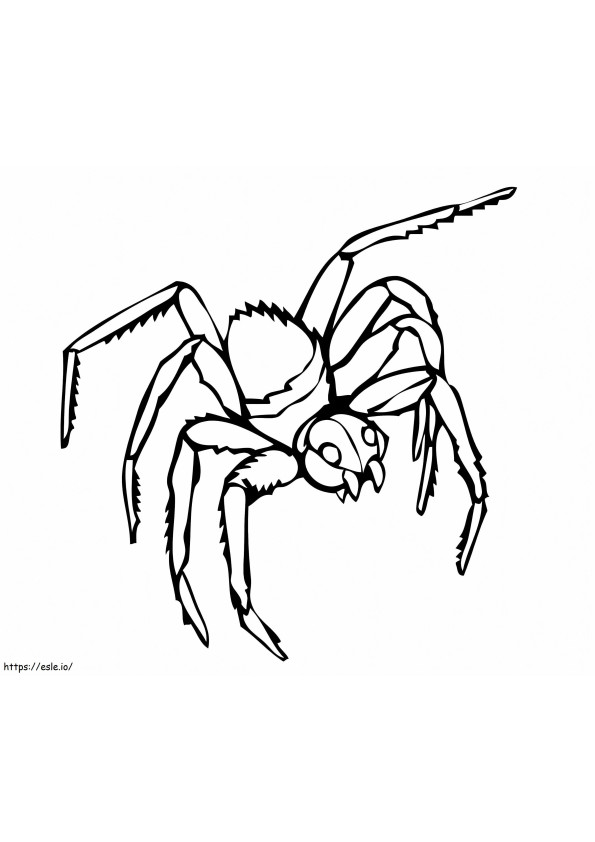 Aranha viúva negra para colorir