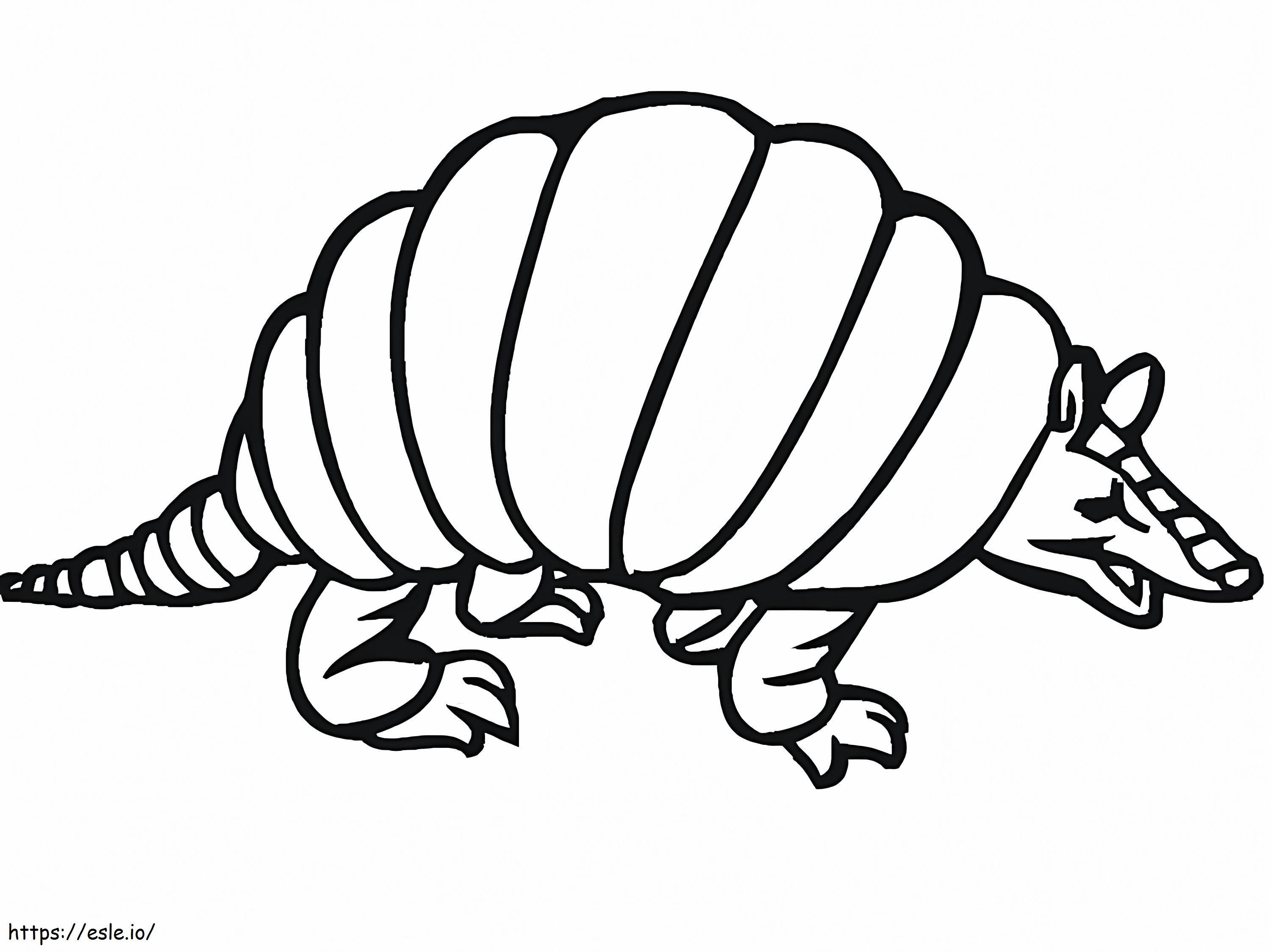 Free Armadilo coloring page