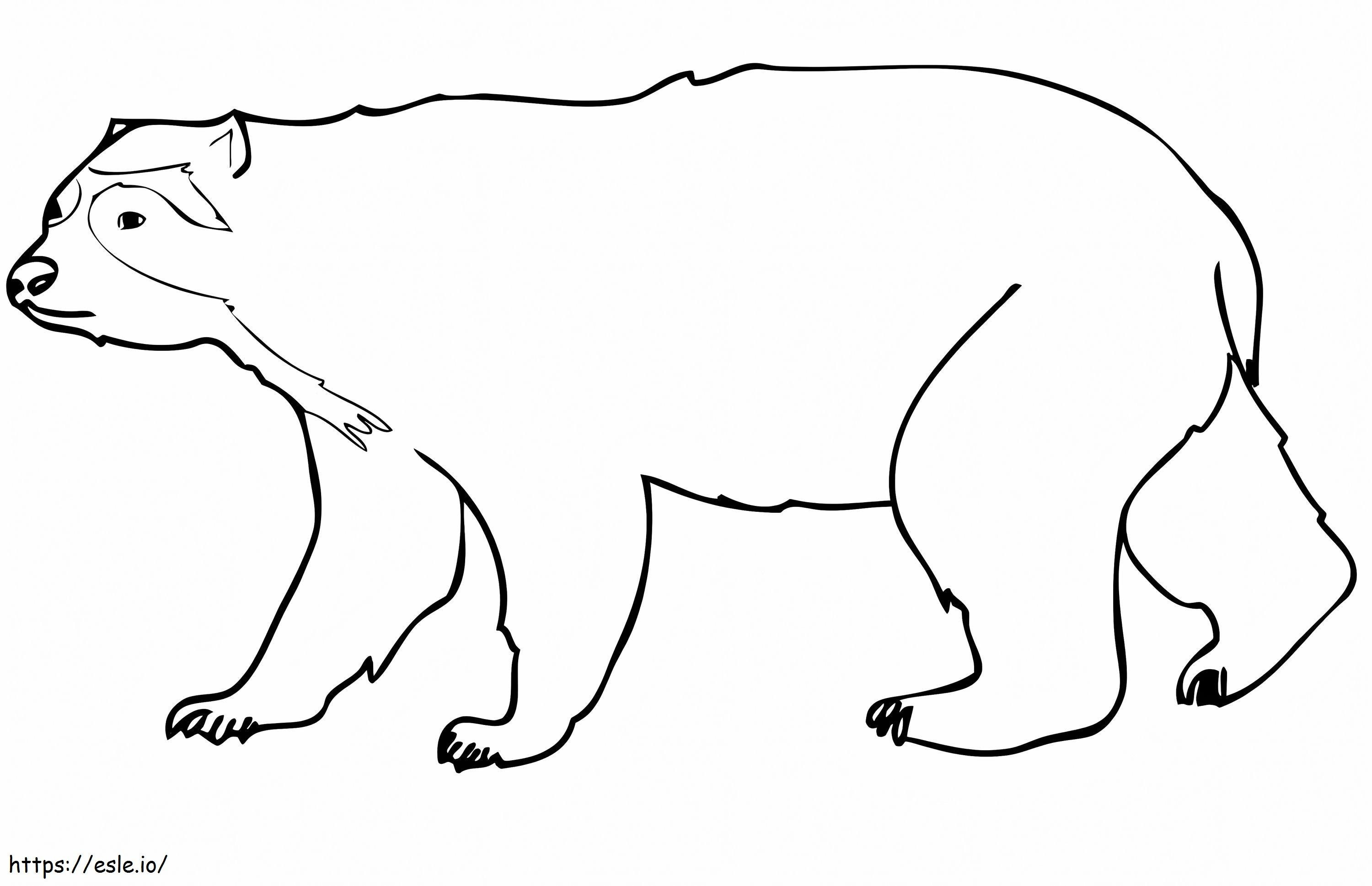 Beruang Berkacamata Biasa Gambar Mewarnai