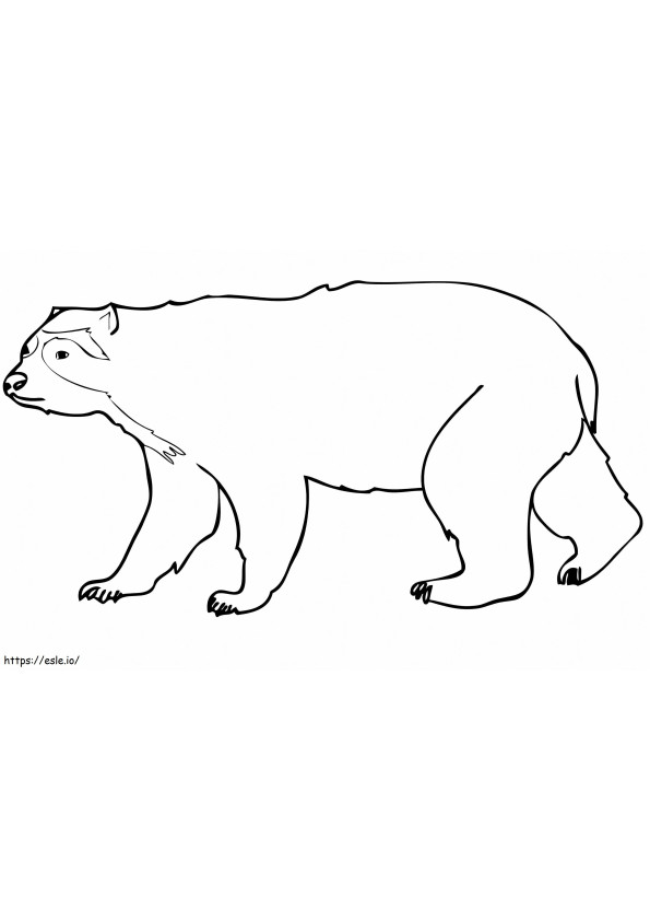 Beruang Berkacamata Biasa Gambar Mewarnai