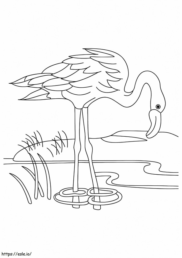 1526460412 Un flamingo care bea apă din lac A4 de colorat