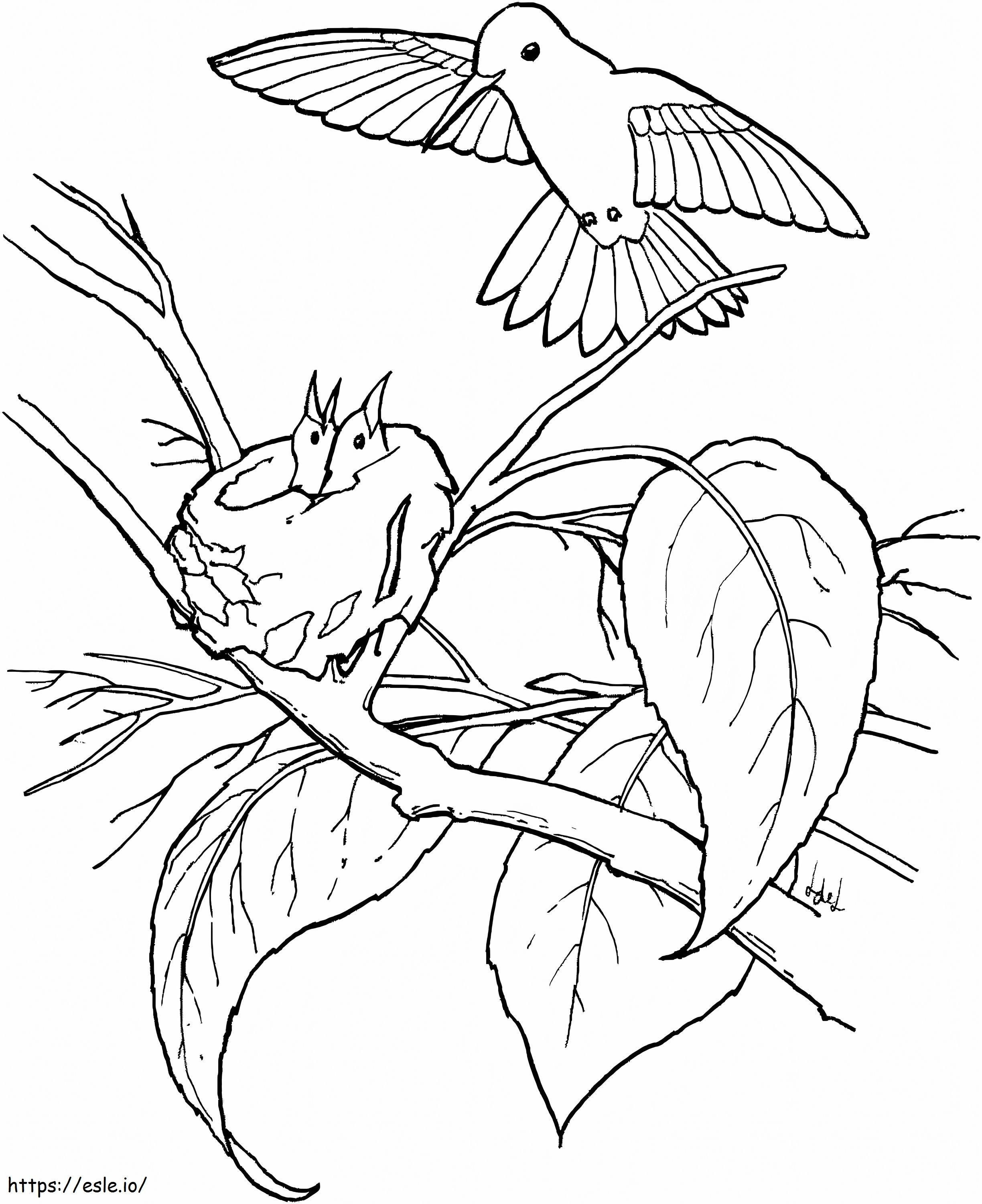 Kolibri-Familie im Baum ausmalbilder