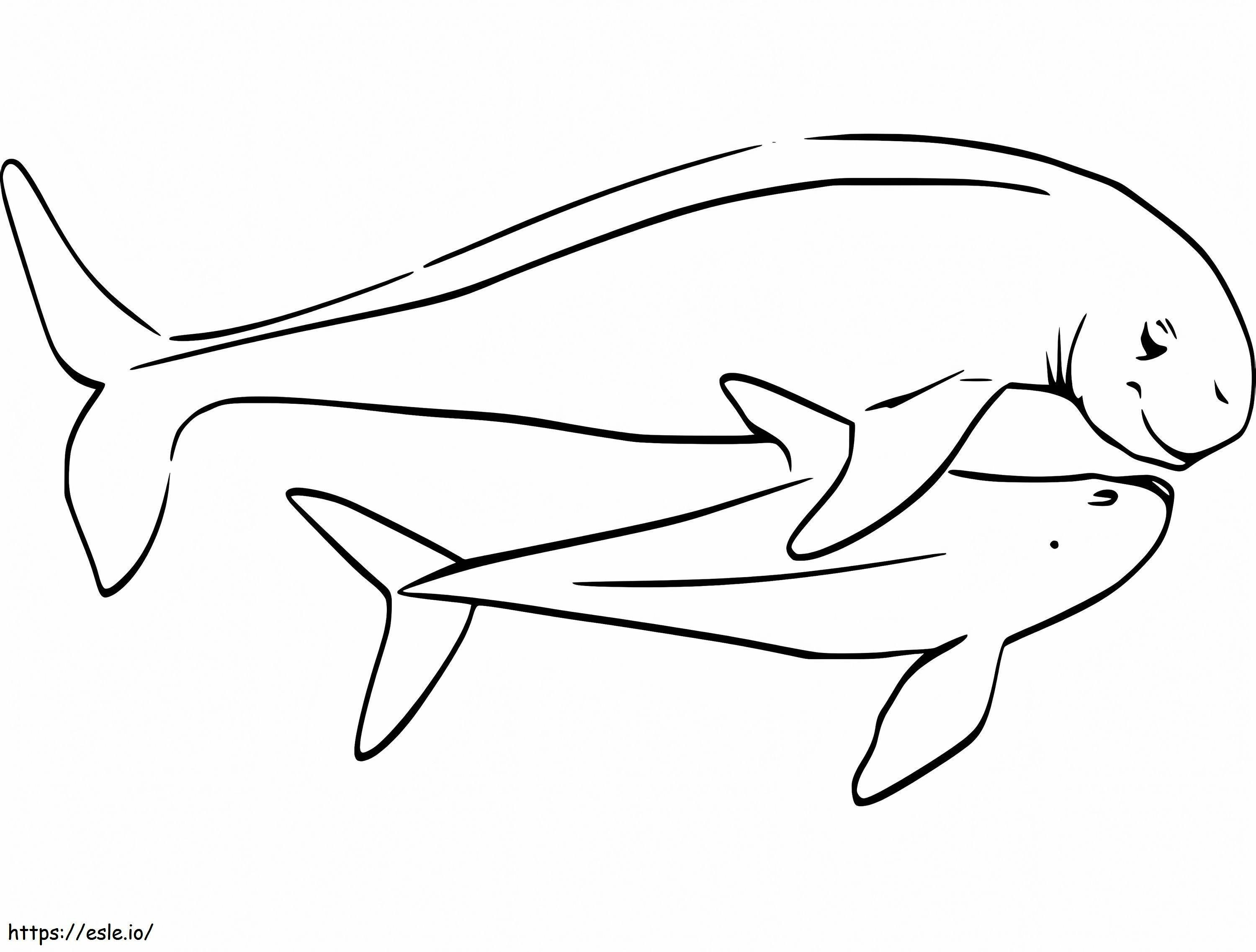 Mother And Baby Porpoise coloring page