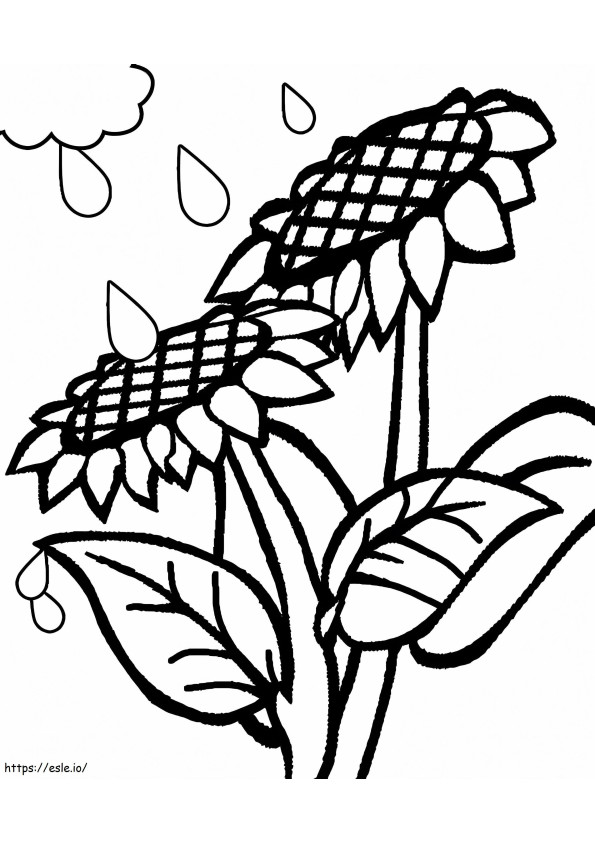 Sunflowers And Rain coloring page