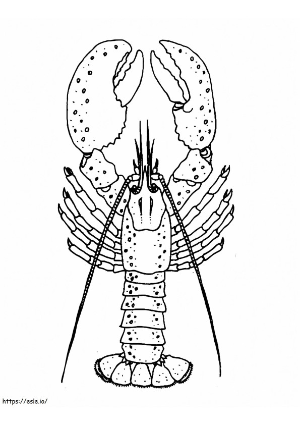 Sweet Lobster coloring page