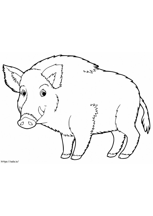 Atemberaubendes Wildschwein
