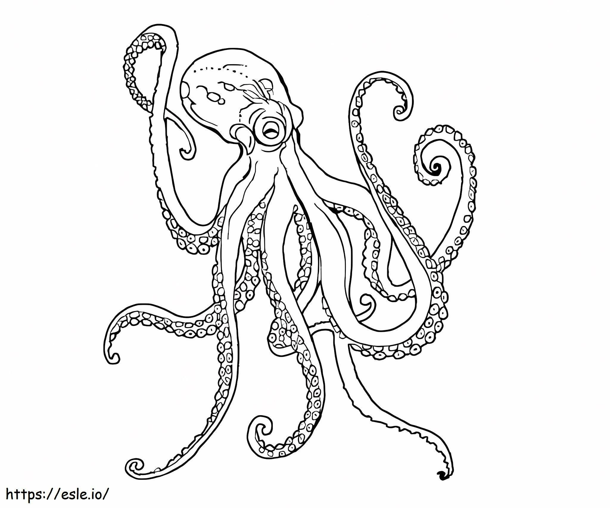 Amazing Octopus coloring page