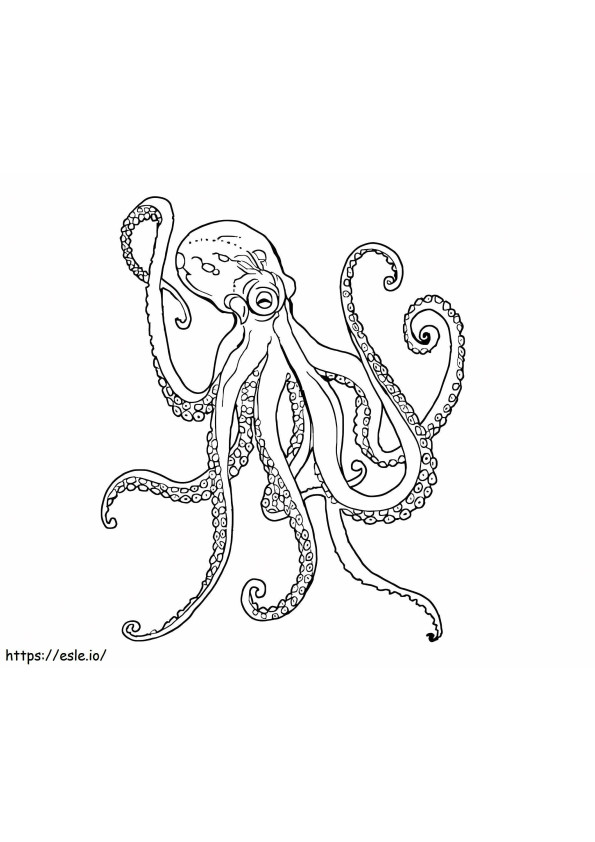 Amazing Octopus coloring page