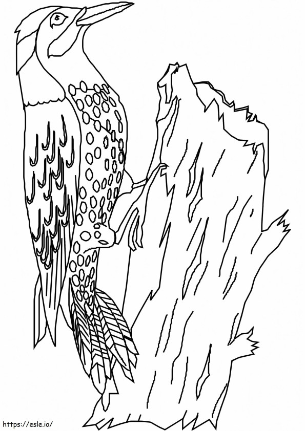 Basic Woodpecker 1 coloring page