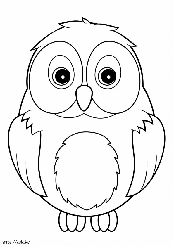 Amazing Owl coloring page