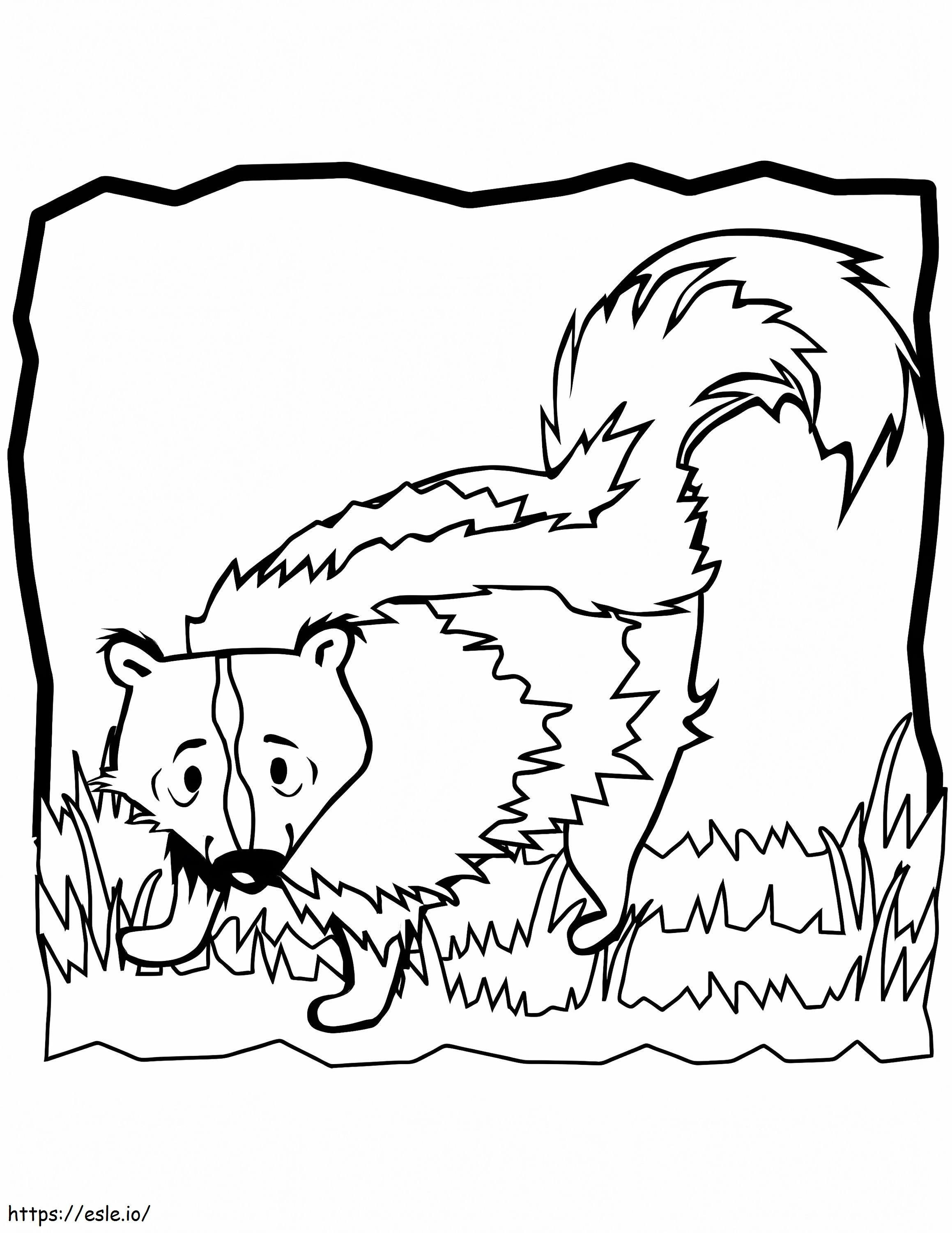Skunk în iarbă de colorat