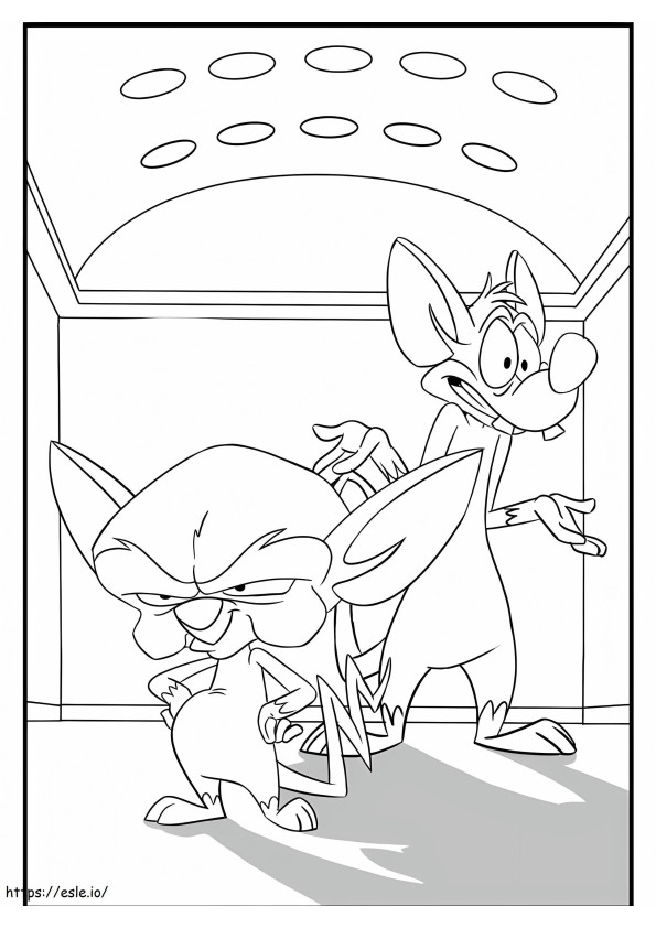 Pinky And The Brain 2 coloring page