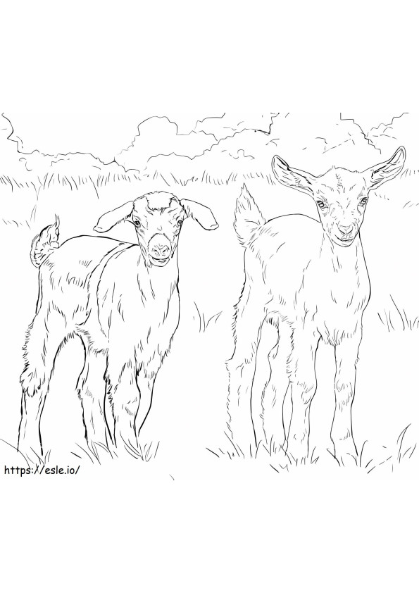 Dos Cabras coloring page
